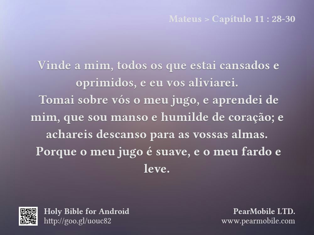 Mateus, Capítulo 11:28-30
